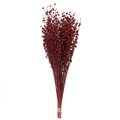 Vickerman 20-22 in. 4 oz Dried Flax Linum Bunch, Red H4FLL475
